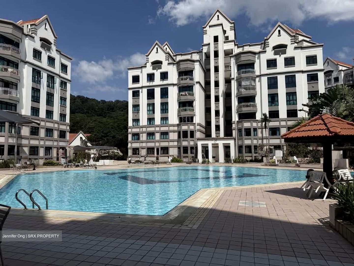 Hume Park I (D21), Condominium #538051971